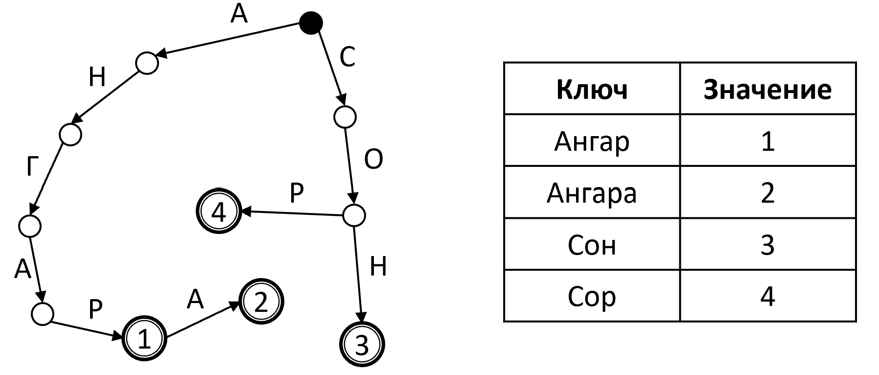 Префиксное дерево